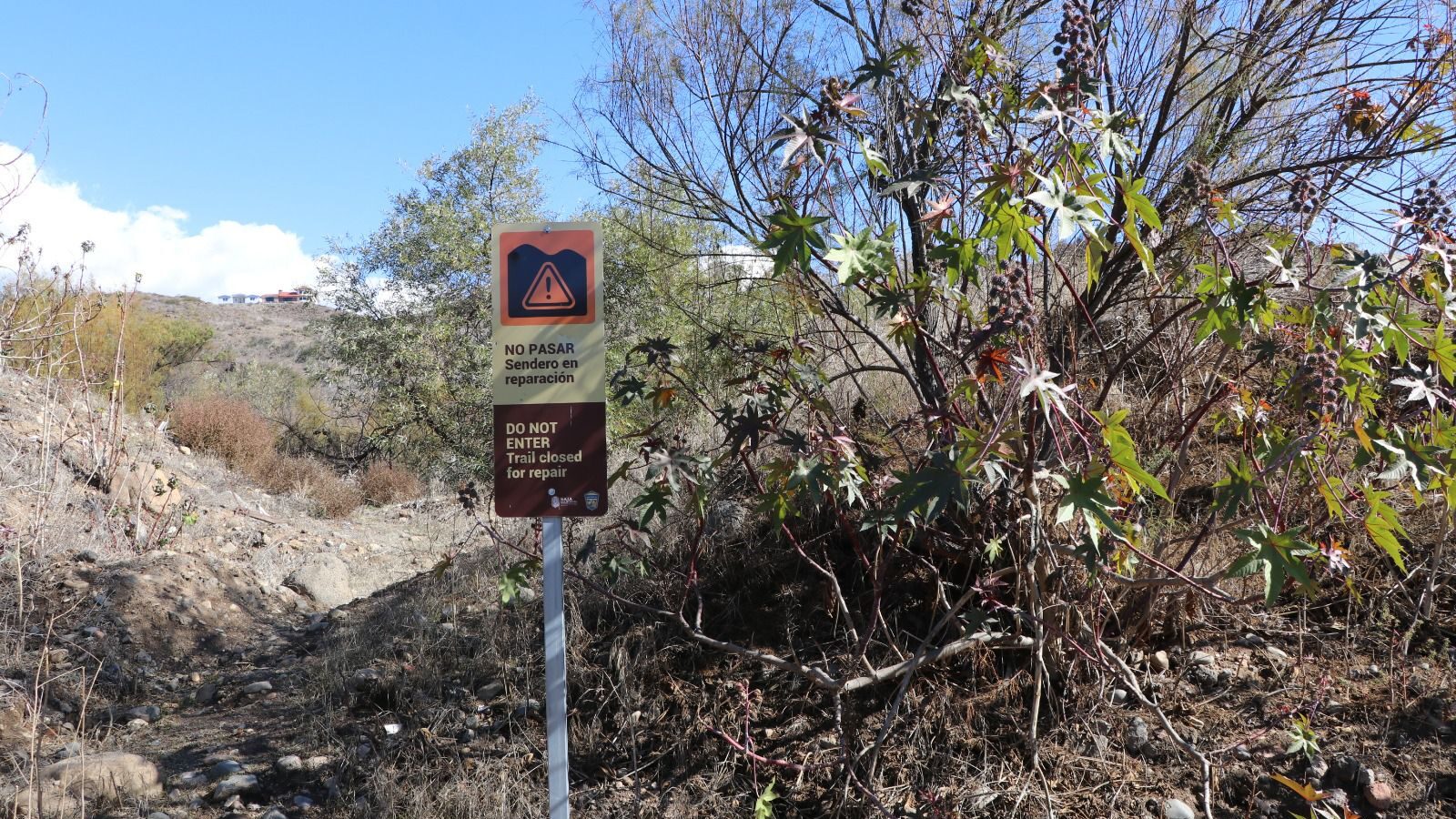 Esperan turismo ecológico en áreas naturales de Baja California.