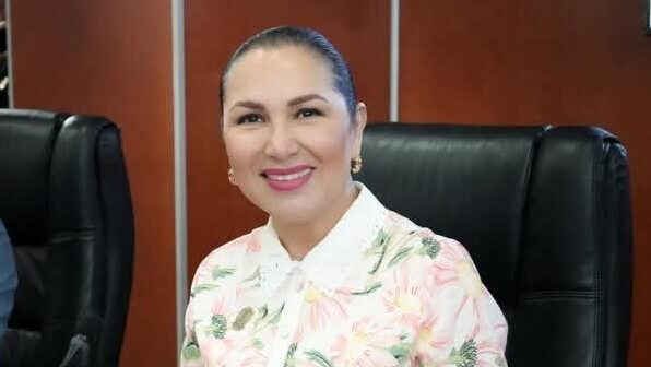 Diputada Araceli Geraldo.