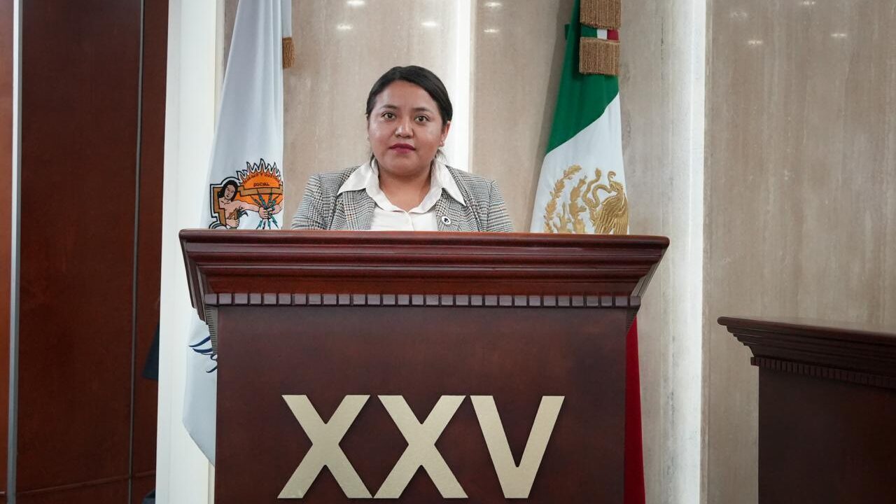 Diputada Evelyn Sánchez