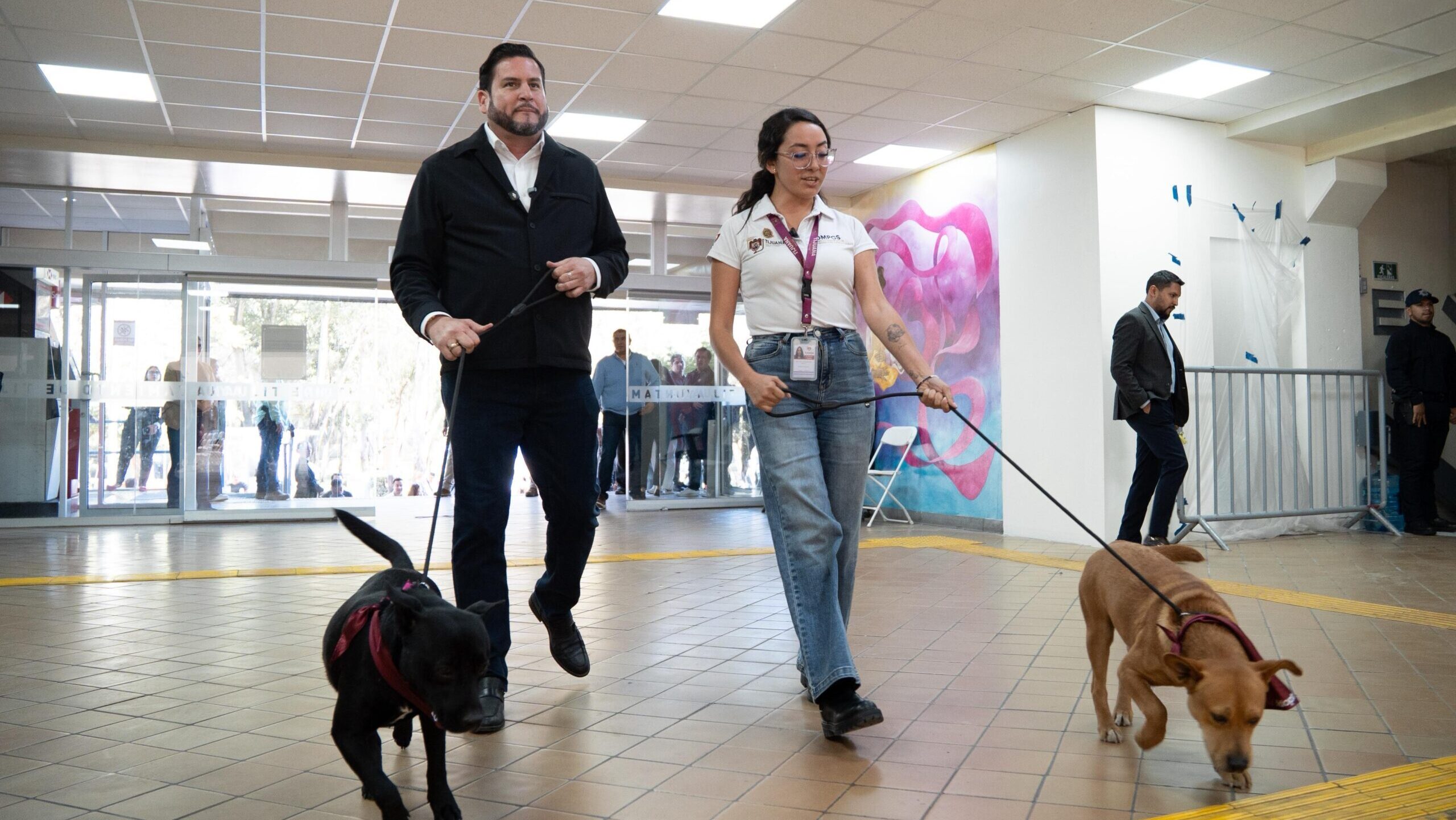 Palacio Municipal es pet friendly