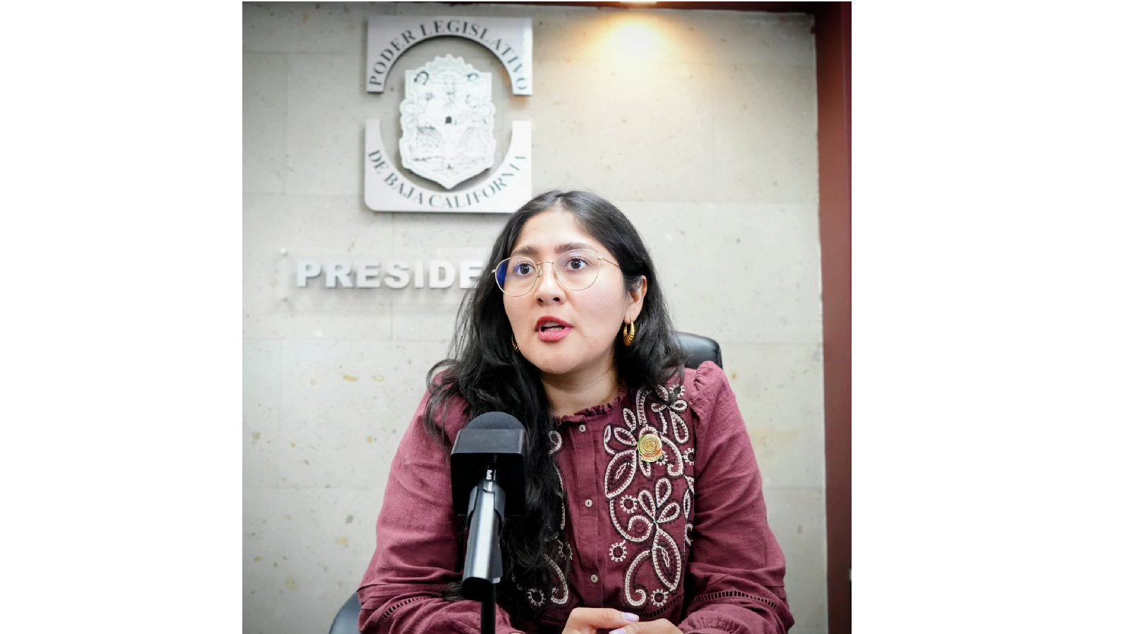 Diputada Liliana Michel Sánchez